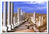 Perge agora