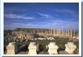 Perge