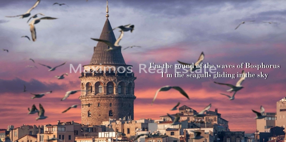 Rental Guaranteed Apartments for Sale Taksim photos #1