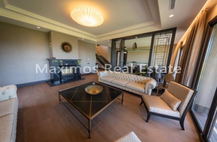 Villa for Sale in Istanbul photos #1