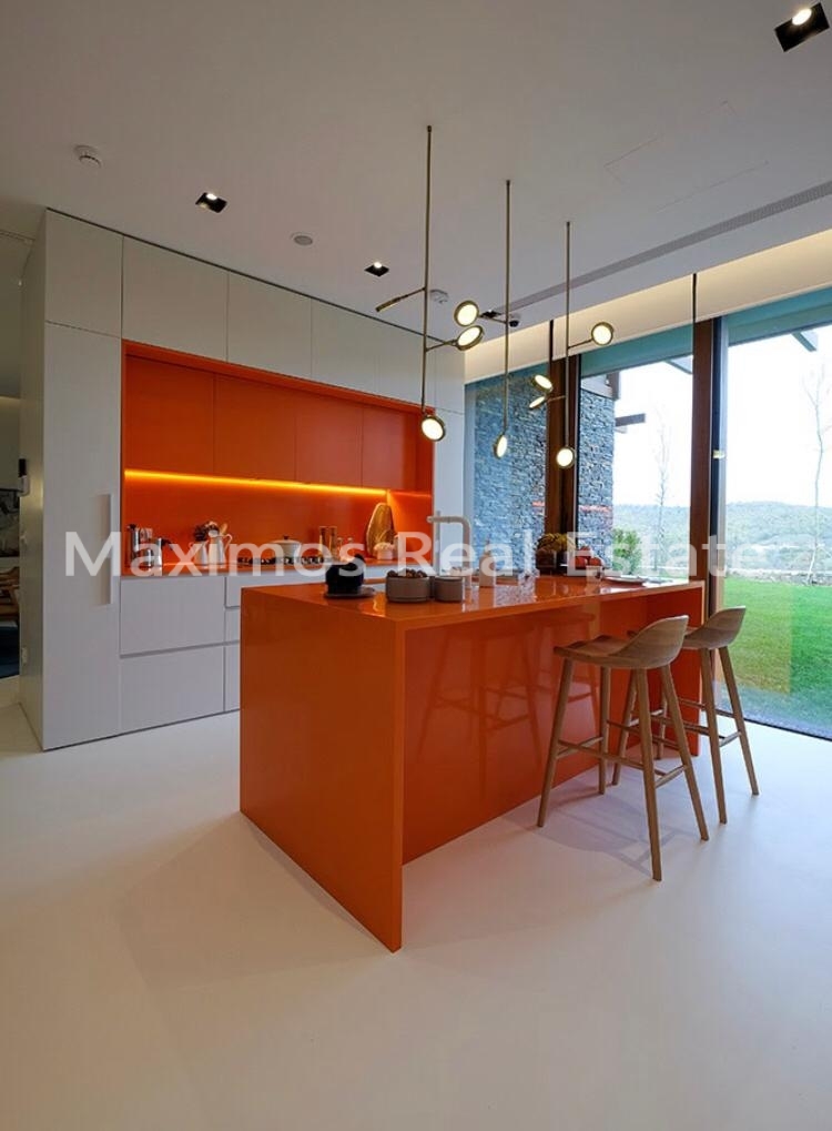 Villa for Sale in Beykoz Istanbul photos #1