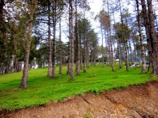 Buying Property in Trabzon thumb #1