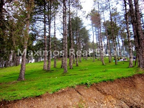 Buying Property in Trabzon photos #1